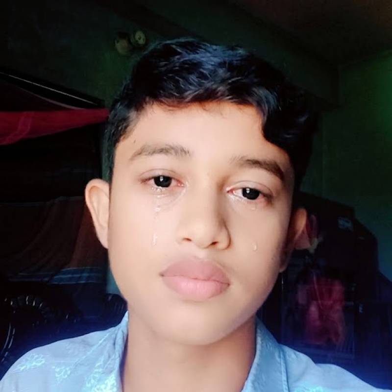 Roman, 18, Cahdpur