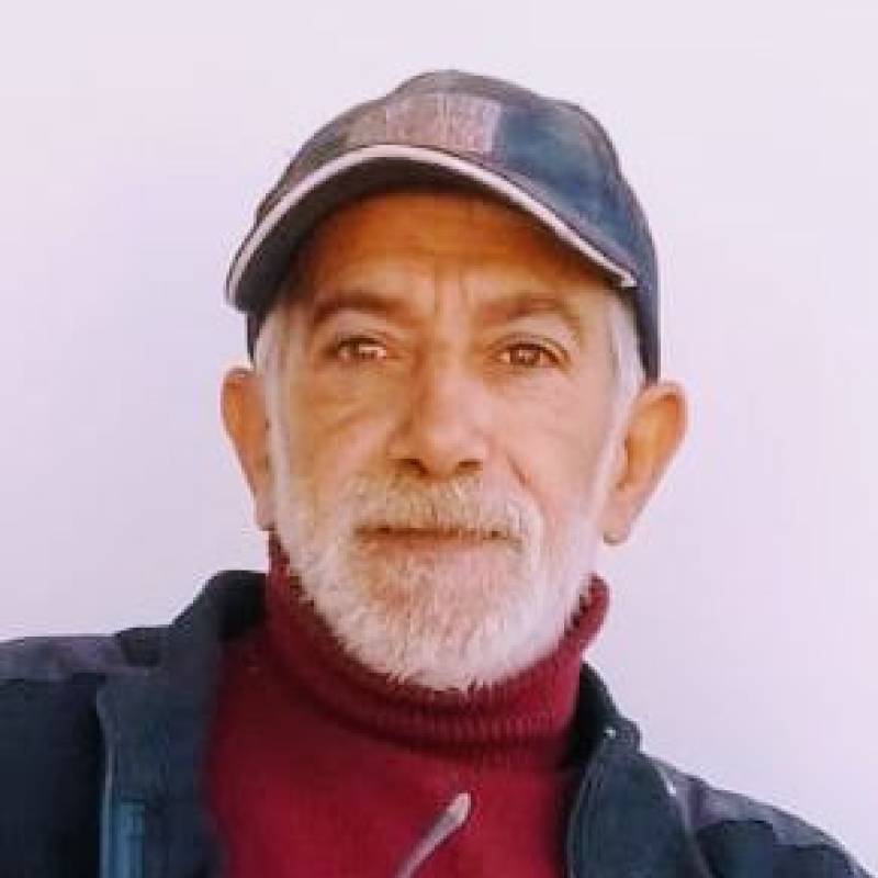 Adel, 60, claxton Georgia