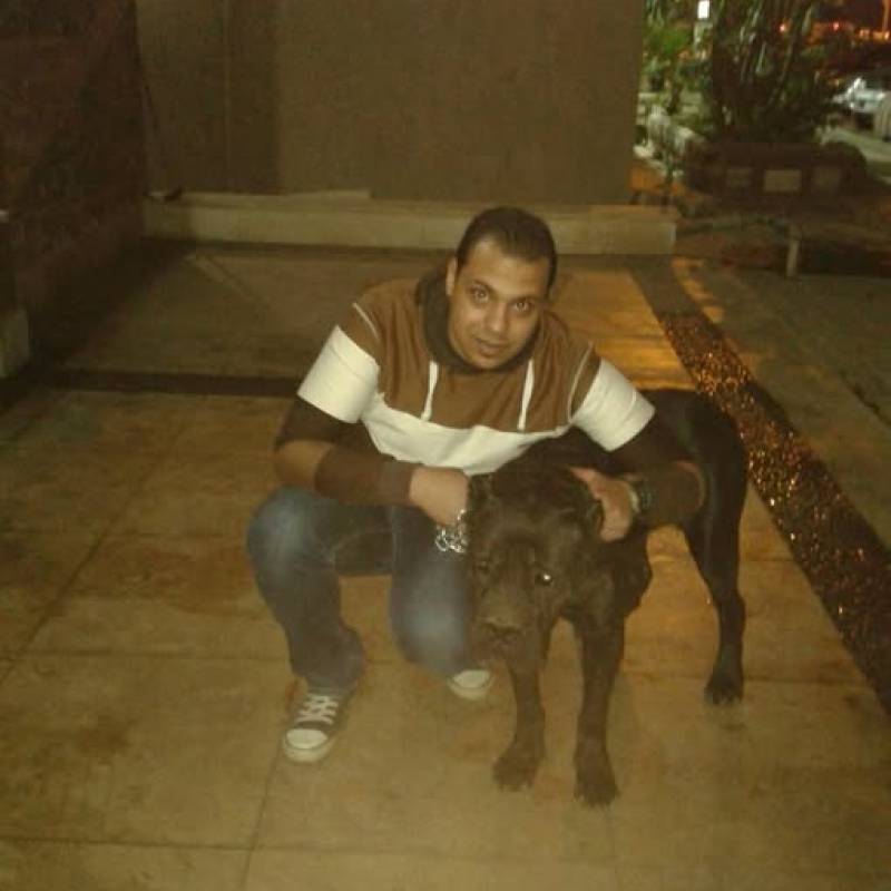 https://tr.fivedate.com dating Achraf007 in Mısır