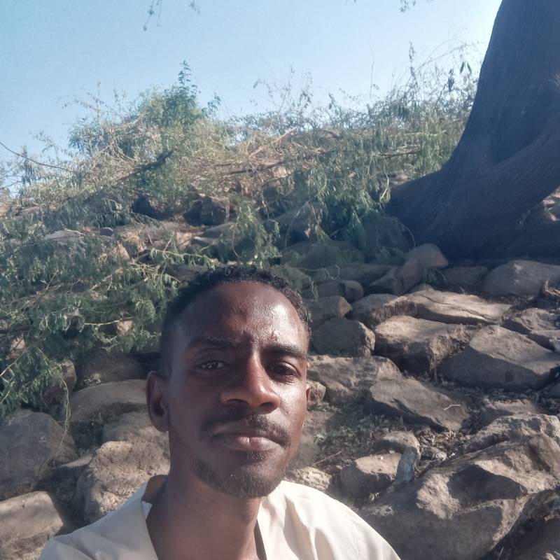 https://tr.fivedate.com dating Sudan❤️eagle in Sudan