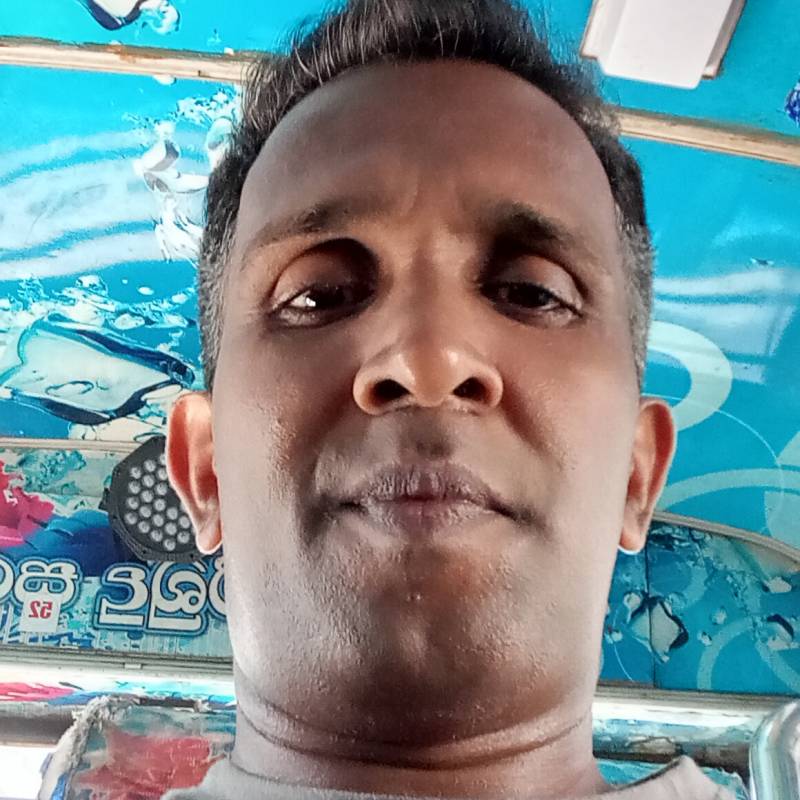 https://tr.fivedate.com dating Mango in Sri Lanka